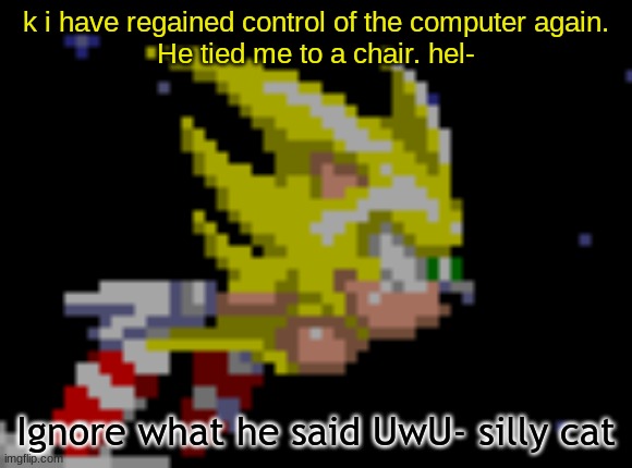 S.Sonic temp #1 | k i have regained control of the computer again.
He tied me to a chair. hel-; Ignore what he said UwU- silly cat | image tagged in s sonic temp 1 | made w/ Imgflip meme maker