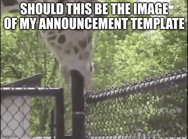 SHOULD THIS BE THE IMAGE OF MY ANNOUNCEMENT TEMPLATE | made w/ Imgflip meme maker