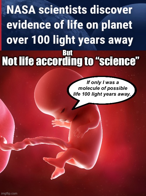 Maybe a telescope from NASA could look at a fetus somehow | But; Not life according to “science”; If only I was a molecule of possible life 100 light years away. | image tagged in fetus,politics lol,memes,derp | made w/ Imgflip meme maker