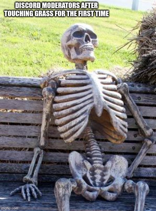 Discord | DISCORD MODERATORS AFTER TOUCHING GRASS FOR THE FIRST TIME | image tagged in memes,waiting skeleton | made w/ Imgflip meme maker