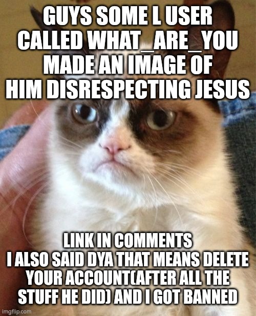 I didn't swear this time :angel emoji: | GUYS SOME L USER CALLED WHAT_ARE_YOU MADE AN IMAGE OF HIM DISRESPECTING JESUS; LINK IN COMMENTS
I ALSO SAID DYA THAT MEANS DELETE YOUR ACCOUNT(AFTER ALL THE STUFF HE DID) AND I GOT BANNED | image tagged in memes,grumpy cat | made w/ Imgflip meme maker