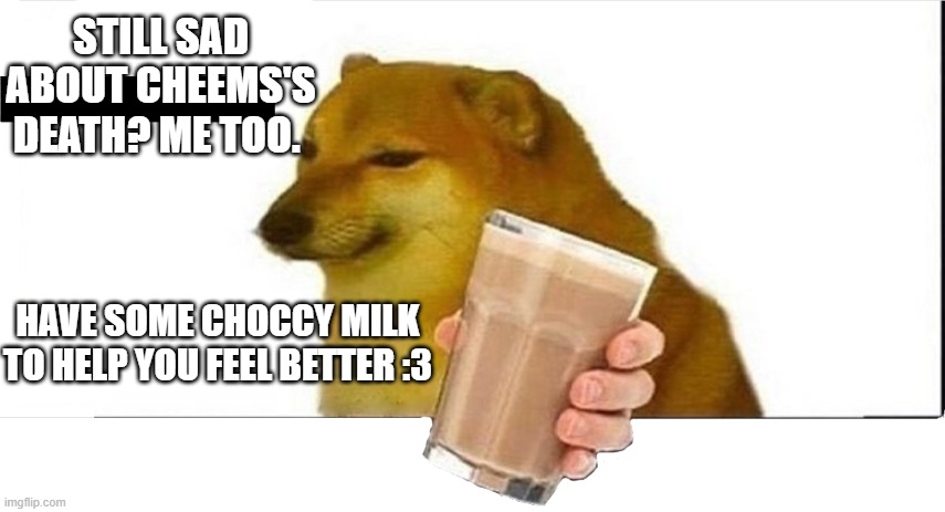 We're in this together, let's share some choccy milk in remembrance of him... | STILL SAD ABOUT CHEEMS'S DEATH? ME TOO. HAVE SOME CHOCCY MILK TO HELP YOU FEEL BETTER :3 | image tagged in doge choccy milk,sad dog,meme,hide the pain harold,hey,oh wow are you actually reading these tags | made w/ Imgflip meme maker