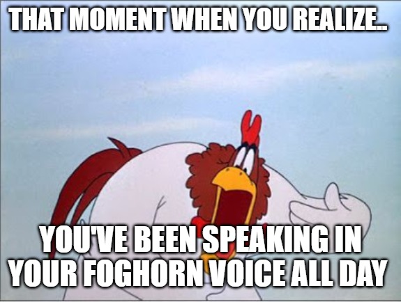 foghorn | THAT MOMENT WHEN YOU REALIZE.. YOU'VE BEEN SPEAKING IN YOUR FOGHORN VOICE ALL DAY | image tagged in foghorn | made w/ Imgflip meme maker
