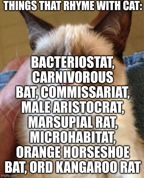 Things that rhyme with cat (Pt: 5): | THINGS THAT RHYME WITH CAT:; BACTERIOSTAT, CARNIVOROUS BAT, COMMISSARIAT, MALE ARISTOCRAT, MARSUPIAL RAT, MICROHABITAT, ORANGE HORSESHOE BAT, ORD KANGAROO RAT | image tagged in memes,grumpy cat,rhymes,part 5,funni,cats | made w/ Imgflip meme maker