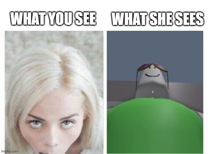 I see You | WHAT SHE SEES; WHAT YOU SEE | image tagged in sex jokes | made w/ Imgflip meme maker
