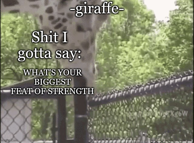 -giraffe- | WHAT'S YOUR BIGGEST FEAT OF STRENGTH | image tagged in -giraffe- | made w/ Imgflip meme maker