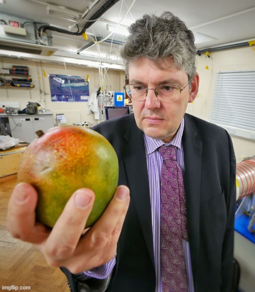 Mango Fruit | image tagged in mango fruit | made w/ Imgflip meme maker