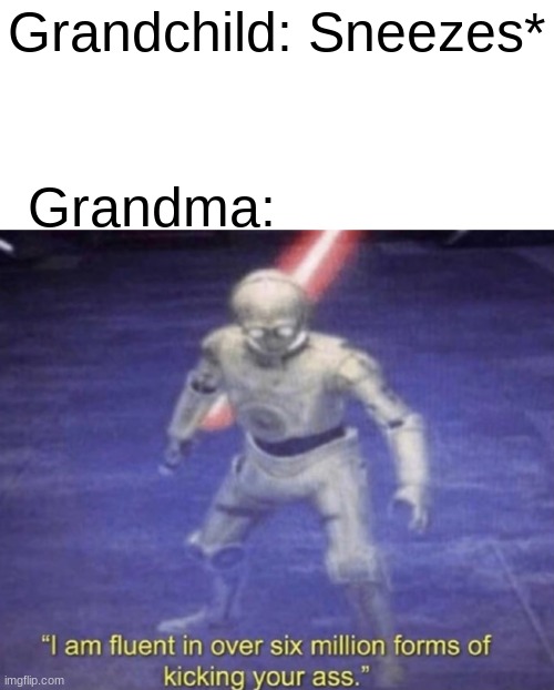 I am fluent in over six million forms of kicking your ass | Grandchild: Sneezes*; Grandma: | image tagged in i am fluent in over six million forms of kicking your ass | made w/ Imgflip meme maker
