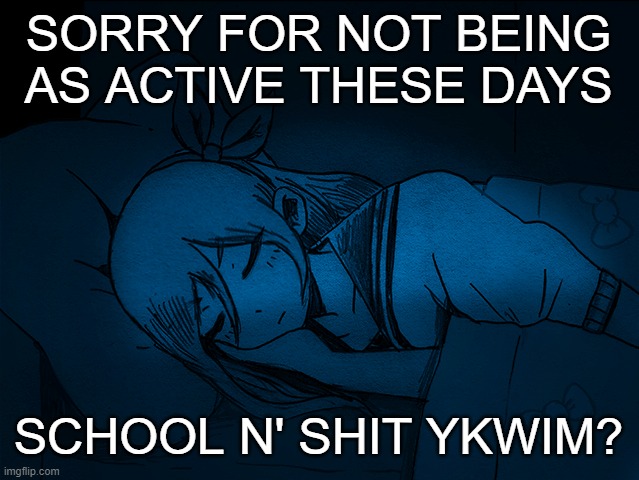 auby sleep | SORRY FOR NOT BEING AS ACTIVE THESE DAYS; SCHOOL N' SHIT YKWIM? | image tagged in auby sleep | made w/ Imgflip meme maker