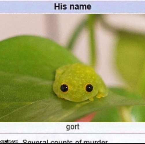 stole this from kit | made w/ Imgflip meme maker