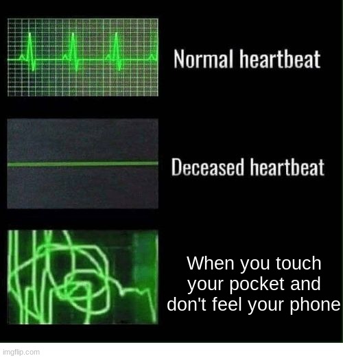 normal heartbeat deceased heartbeat | When you touch your pocket and don't feel your phone | image tagged in normal heartbeat deceased heartbeat | made w/ Imgflip meme maker