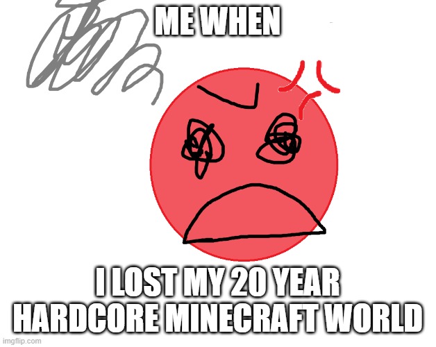 POV: You Died In Your 20 Year Hardcore World | ME WHEN; I LOST MY 20 YEAR HARDCORE MINECRAFT WORLD | image tagged in me when | made w/ Imgflip meme maker