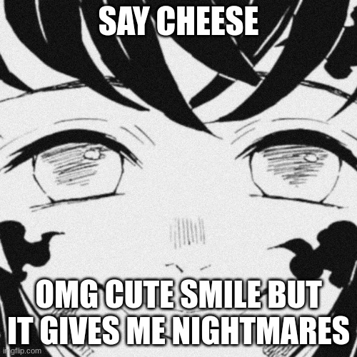 smile | SAY CHEESE; OMG CUTE SMILE BUT IT GIVES ME NIGHTMARES | image tagged in smile | made w/ Imgflip meme maker