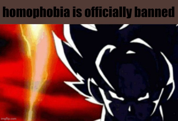 Goku Lightning | homophobia is officially banned | image tagged in goku lightning | made w/ Imgflip meme maker