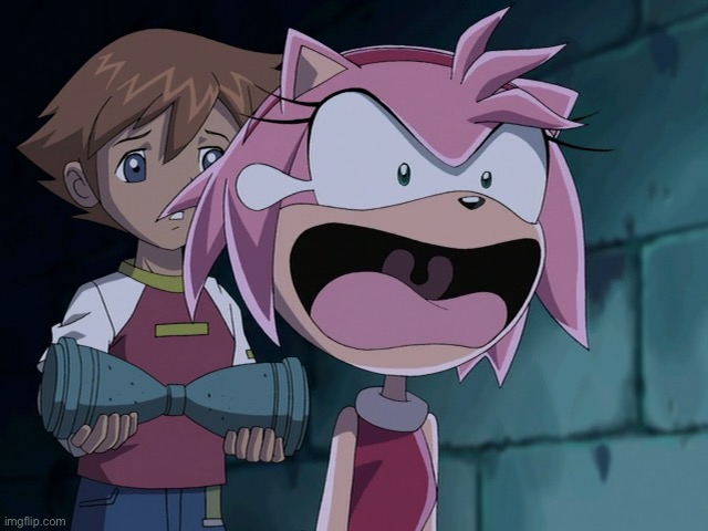 Screm | image tagged in amy rose screaming | made w/ Imgflip meme maker
