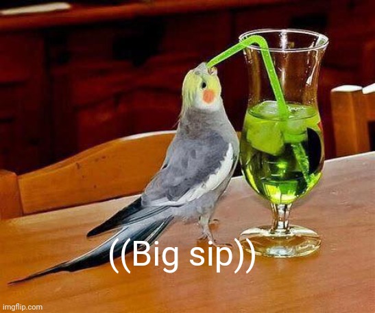 Big Sip | ((Big sip)) | image tagged in big sip | made w/ Imgflip meme maker