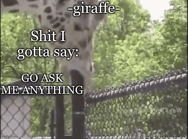 -giraffe- | GO ASK ME ANYTHING | image tagged in -giraffe- | made w/ Imgflip meme maker