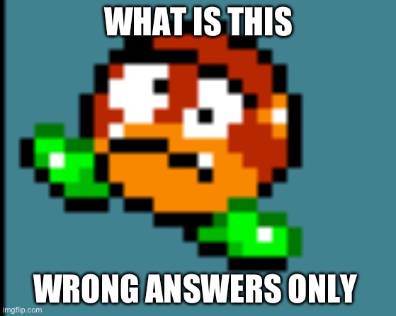 Dizzy Galoomba | WHAT IS THIS; WRONG ANSWERS ONLY | image tagged in dizzy galoomba | made w/ Imgflip meme maker