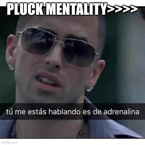 Wisin adrenalina | PLUCK MENTALITY>>>> | image tagged in wisin adrenalina | made w/ Imgflip meme maker