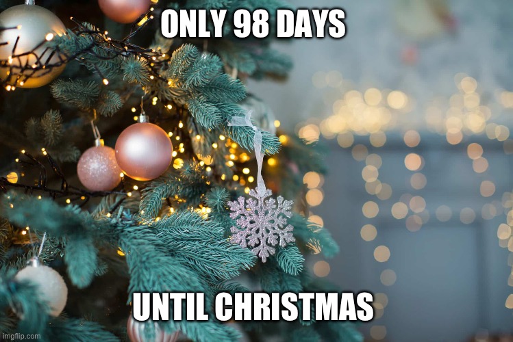 Only 98 days until Christmas | ONLY 98 DAYS; UNTIL CHRISTMAS | image tagged in christmas | made w/ Imgflip meme maker