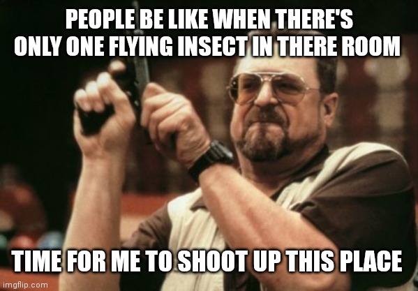 I be like that to though LoL. So overreactive | PEOPLE BE LIKE WHEN THERE'S ONLY ONE FLYING INSECT IN THERE ROOM; TIME FOR ME TO SHOOT UP THIS PLACE | image tagged in memes,am i the only one around here,funny memes,when there's only one fly in your room | made w/ Imgflip meme maker