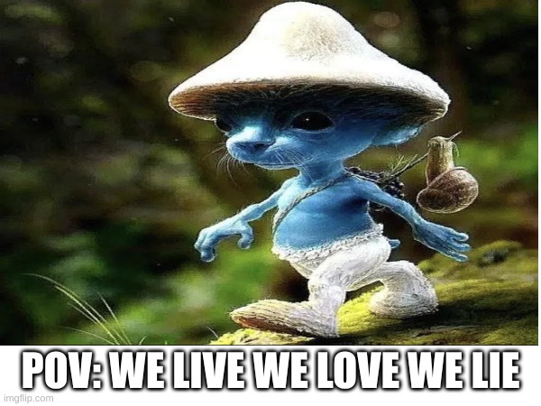 POV: WE LIVE WE LOVE WE LIE | made w/ Imgflip meme maker