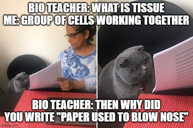 Woman showing paper to cat | BIO TEACHER: WHAT IS TISSUE
ME: GROUP OF CELLS WORKING TOGETHER; BIO TEACHER: THEN WHY DID YOU WRITE "PAPER USED TO BLOW NOSE" | image tagged in woman showing paper to cat | made w/ Imgflip meme maker