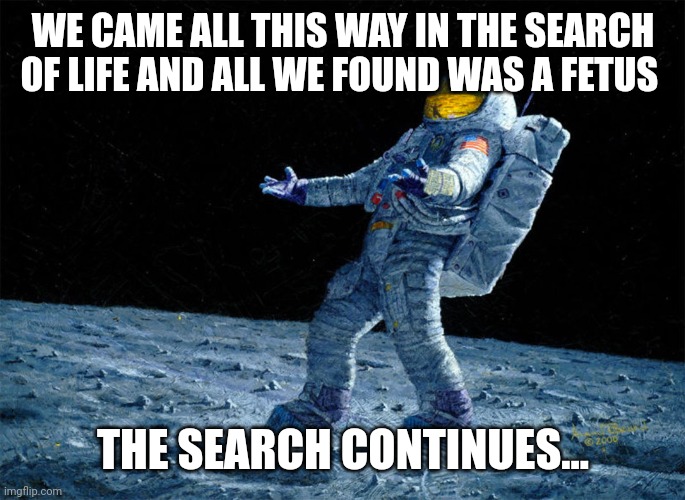 astronaut | WE CAME ALL THIS WAY IN THE SEARCH OF LIFE AND ALL WE FOUND WAS A FETUS; THE SEARCH CONTINUES... | image tagged in astronaut | made w/ Imgflip meme maker