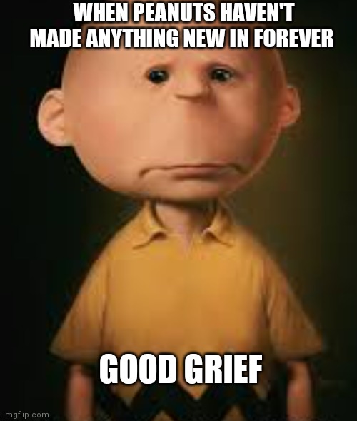 Peanuts needs another series or film | WHEN PEANUTS HAVEN'T MADE ANYTHING NEW IN FOREVER; GOOD GRIEF | image tagged in funny memes,funny memes peanuts,droopy charlie brown,good grief,depressed charlie brown,charlie brown memes | made w/ Imgflip meme maker