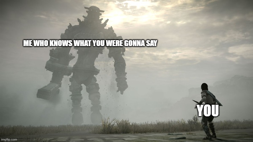 shadow of the colossus | ME WHO KNOWS WHAT YOU WERE GONNA SAY YOU | image tagged in shadow of the colossus | made w/ Imgflip meme maker