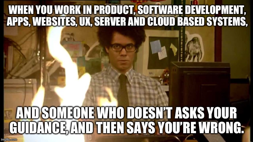 IT help from the IT illiterate | WHEN YOU WORK IN PRODUCT, SOFTWARE DEVELOPMENT, APPS, WEBSITES, UX, SERVER AND CLOUD BASED SYSTEMS, AND SOMEONE WHO DOESN’T ASKS YOUR GUIDANCE, AND THEN SAYS YOU’RE WRONG. | image tagged in it crowd fire | made w/ Imgflip meme maker