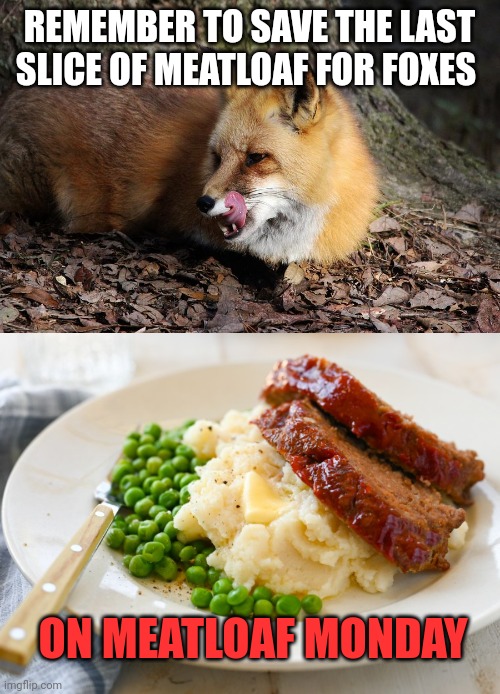 Meatloaf facts | REMEMBER TO SAVE THE LAST SLICE OF MEATLOAF FOR FOXES; ON MEATLOAF MONDAY | image tagged in meatloaf,facts | made w/ Imgflip meme maker