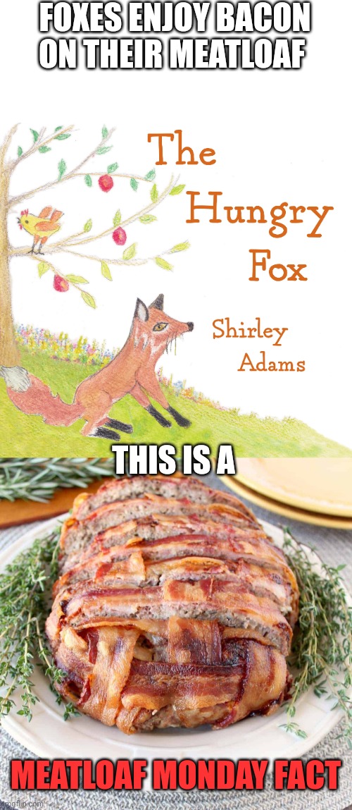 Please learn important facts about monday | FOXES ENJOY BACON ON THEIR MEATLOAF; THIS IS A; MEATLOAF MONDAY FACT | image tagged in mondays,meatloaf,foxes | made w/ Imgflip meme maker