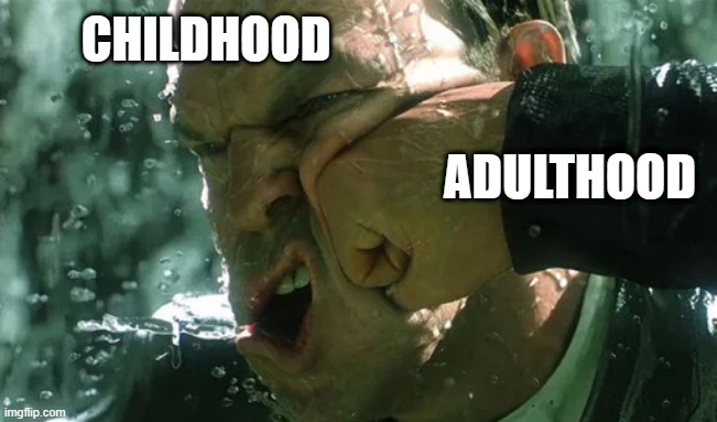 Childhood vs Adulthood | CHILDHOOD; ADULTHOOD | image tagged in memes,funny,funny memes,childhood,adulthood | made w/ Imgflip meme maker