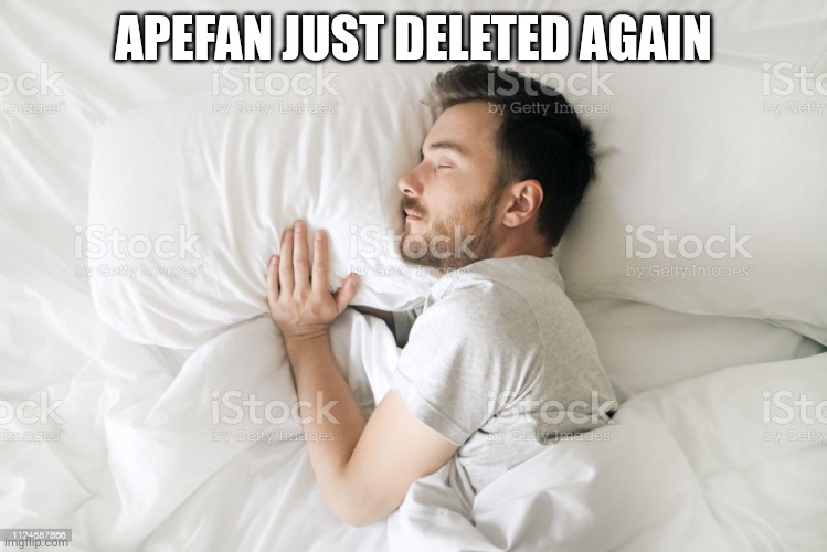 Wouldn't it be nice | APEFAN JUST DELETED AGAIN | image tagged in wouldn't it be nice | made w/ Imgflip meme maker