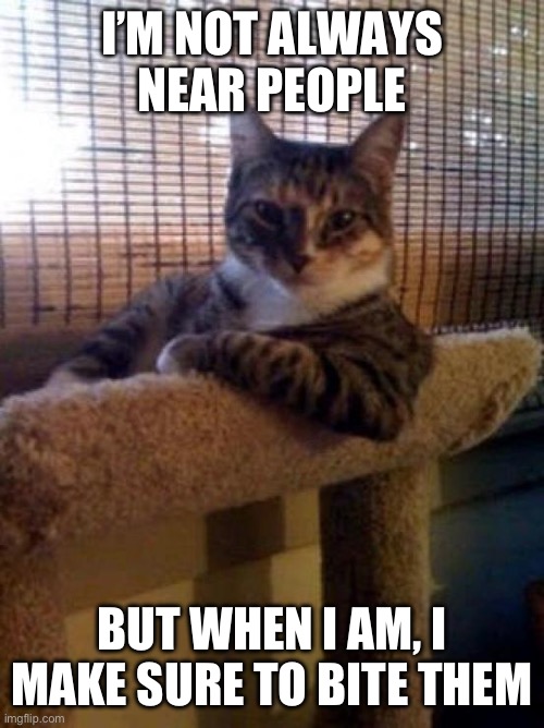 The Most Interesting Cat In The World Meme | I’M NOT ALWAYS NEAR PEOPLE; BUT WHEN I AM, I MAKE SURE TO BITE THEM | image tagged in memes,the most interesting cat in the world | made w/ Imgflip meme maker