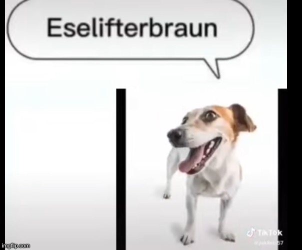 Eselifterbraun | made w/ Imgflip meme maker