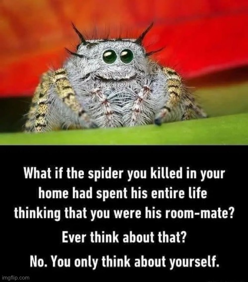 You selfish sod | image tagged in selfish,selfishness,spider | made w/ Imgflip meme maker