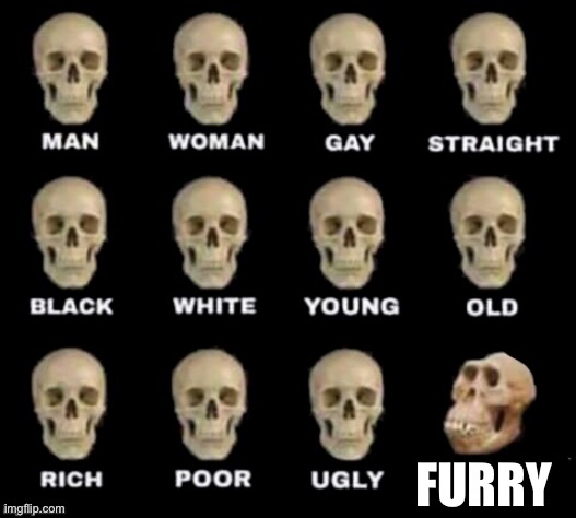 idiot skull | FURRY | image tagged in idiot skull | made w/ Imgflip meme maker
