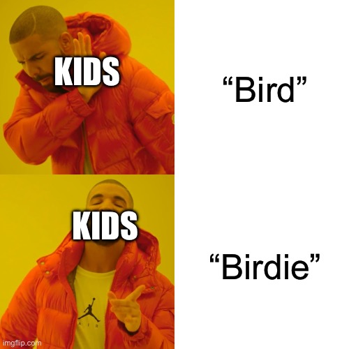 Kids be like | “Bird”; KIDS; “Birdie”; KIDS | image tagged in memes,drake hotline bling,birds,bird,kids | made w/ Imgflip meme maker