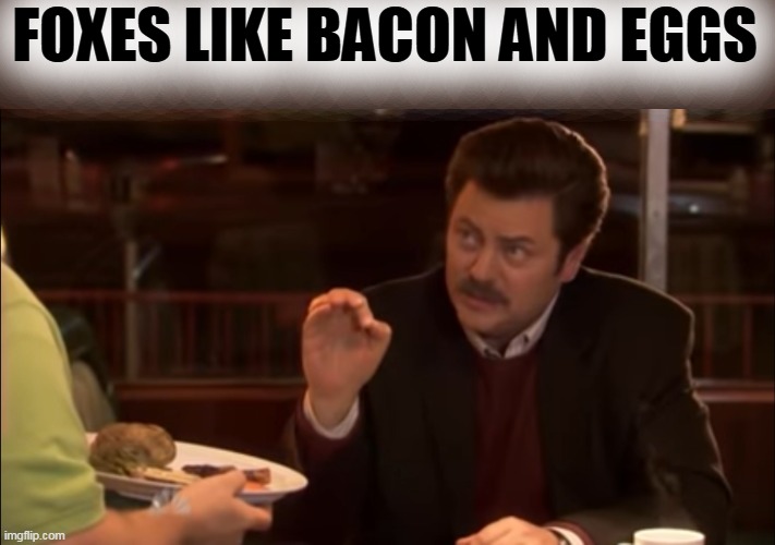 all the bacon and eggs | FOXES LIKE BACON AND EGGS | image tagged in all the bacon and eggs | made w/ Imgflip meme maker