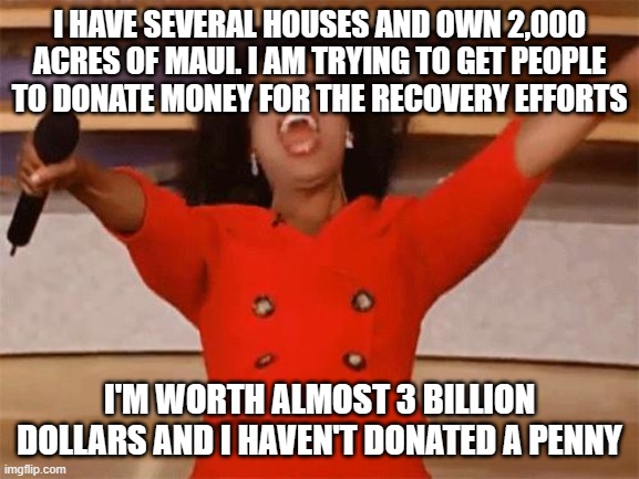 oprah | I HAVE SEVERAL HOUSES AND OWN 2,000 ACRES OF MAUI. I AM TRYING TO GET PEOPLE TO DONATE MONEY FOR THE RECOVERY EFFORTS; I'M WORTH ALMOST 3 BILLION DOLLARS AND I HAVEN'T DONATED A PENNY | image tagged in oprah | made w/ Imgflip meme maker