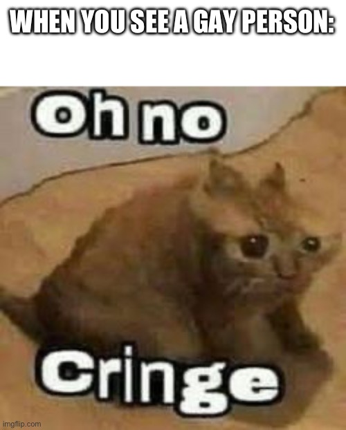 oH nO cRInGe | WHEN YOU SEE A GAY PERSON: | image tagged in oh no cringe | made w/ Imgflip meme maker