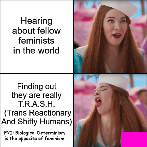 Barbie | Hearing about fellow feminists in the world; Finding out they are really T.R.A.S.H.
 (Trans Reactionary And Shitty Humans); FYI: Biological Determinism is the opposite of feminism | image tagged in barbie,trans,terf,transgender,feminism,feminist | made w/ Imgflip meme maker