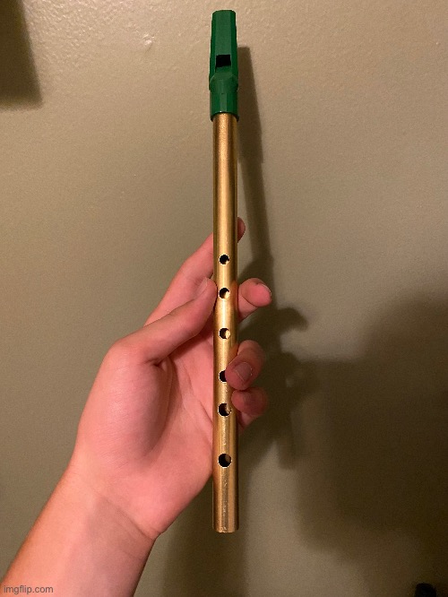 My tin whistle just arrived today. It’s a little different for me since I play the Bari sax, but I’m starting to get the hang of | image tagged in instrument,music,amazon | made w/ Imgflip meme maker