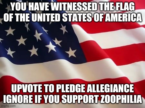American flag | YOU HAVE WITNESSED THE FLAG OF THE UNITED STATES OF AMERICA; UPVOTE TO PLEDGE ALLEGIANCE
IGNORE IF YOU SUPPORT ZOOPHILIA | image tagged in american flag | made w/ Imgflip meme maker