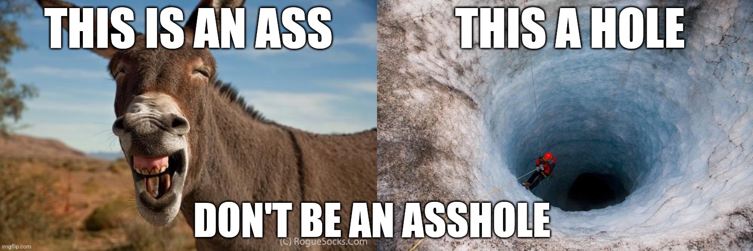 THIS A HOLE; THIS IS AN ASS; DON'T BE AN ASSHOLE | image tagged in donkey jackass braying,huge hole | made w/ Imgflip meme maker