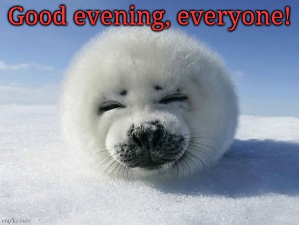Seal Of Approval | Good evening, everyone! | image tagged in seal of approval | made w/ Imgflip meme maker
