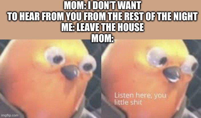 Doors right there :/ | MOM: I DON’T WANT TO HEAR FROM YOU FROM THE REST OF THE NIGHT
ME: LEAVE THE HOUSE
MOM: | image tagged in listen here you little shit bird | made w/ Imgflip meme maker
