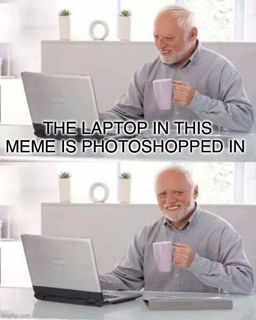 Dang | THE LAPTOP IN THIS MEME IS PHOTOSHOPPED IN | image tagged in memes,hide the pain harold,laptop | made w/ Imgflip meme maker